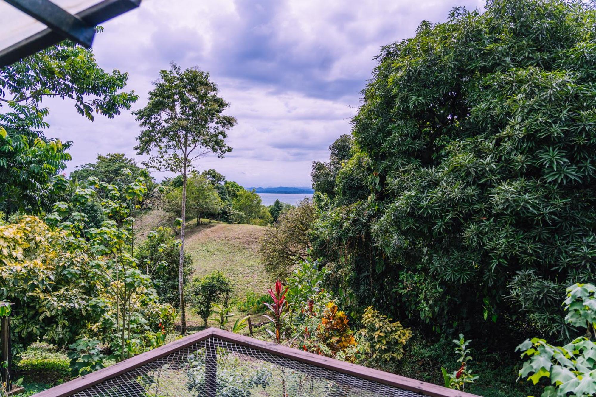 Bambuda Lodge Solarte Kamer foto